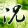 原版麻省艺术与设计学院毕业证【degxx.com】